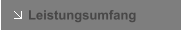 Leistungsumfang